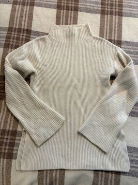 Everlane The Cashmere Rib Mockneck Sweater
